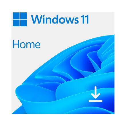 Windows 11 Home Microsoft 64 bit ESD