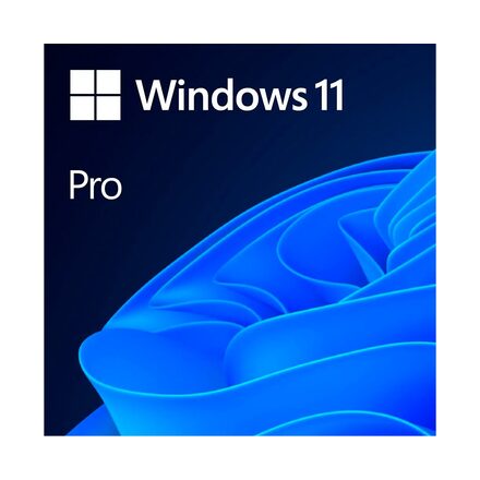 Windows 11 Pro 64 bit COEM/DVD
