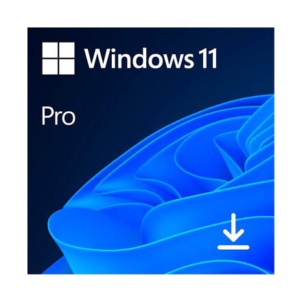 Windows 11 Pro Microsoft 64 bit ESD FQC